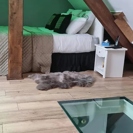 Magnifiquet3 Hyper Centre Design Confort דירה